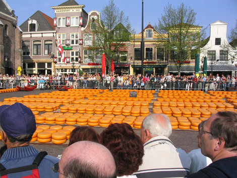 Сырный рынок Алкмар, Нидерланды