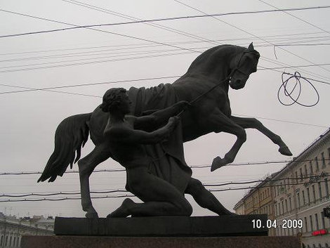 Лошадь не сдаётся Санкт-Петербург, Россия