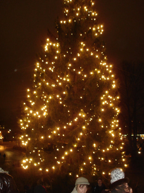 Рождественская елка у Кафедрального собора Турку, Финляндия
