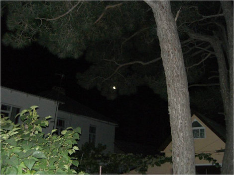 Луна, дома, деревья Геленджик, Россия