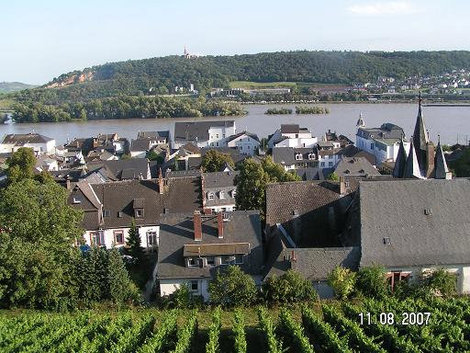 Симпатичный пейзаж Рюдесхайм-на-Рейне, Германия