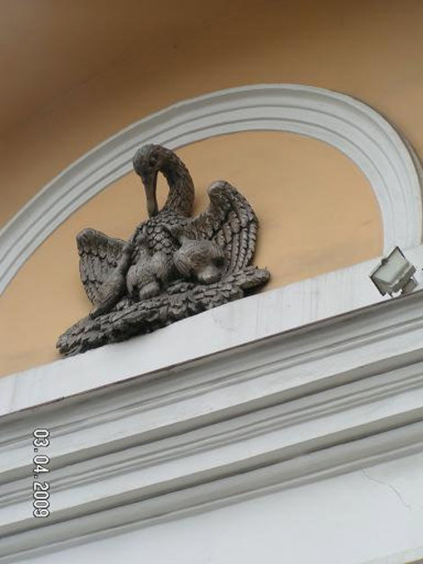 Пеликан Санкт-Петербург, Россия