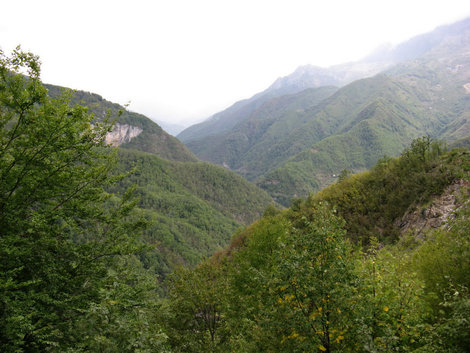 Национальный парк Биоградска Гора.