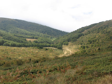 Национальный парк Биоградска Гора. Биоградска Гора, Черногория
