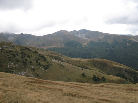 Национальный парк Биоградска Гора.