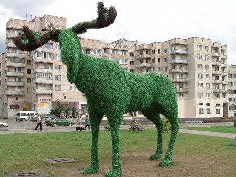 Современная зеленая скульптура, лось. Гатчина, Россия