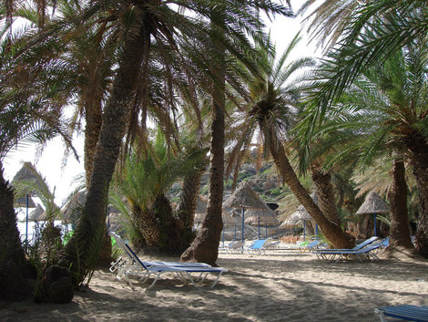Пальмовый пляж Ваи (Vai) Ваи, Греция