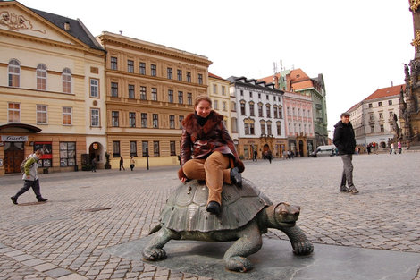 Но если хорошо попросить, черепахи бывают весьма медитативны Оломоуц, Чехия