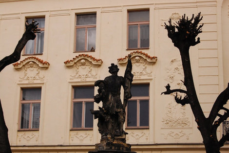 Странного происхождения копоть не только на скульптурах и фонтане, ею покрыты и деревья вокруг Оломоуц, Чехия