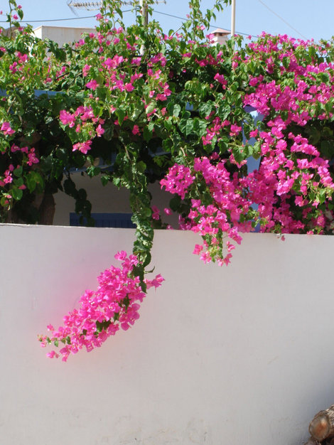 Яркие краски Крита Остров Крит, Греция