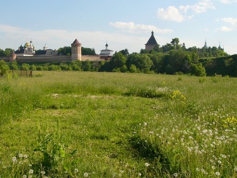 Монастырский сенокос. Суздаль, Россия