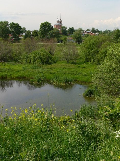 Вид из Суздальского кремля. В этом болотце гнездятся утки. Суздаль, Россия