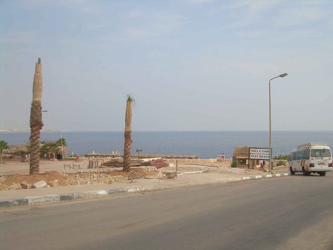 Унылый подход к пляжу с зачехленными пальмами Шарм-Эль-Шейх, Египет