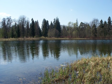 Озеро в Гатчинском парке, весна. Гатчина, Россия