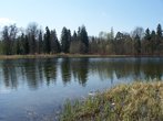 Озеро в Гатчинском парке, весна.