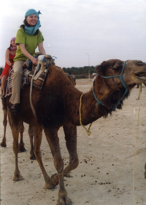 Катание на верблюдах Тунис
