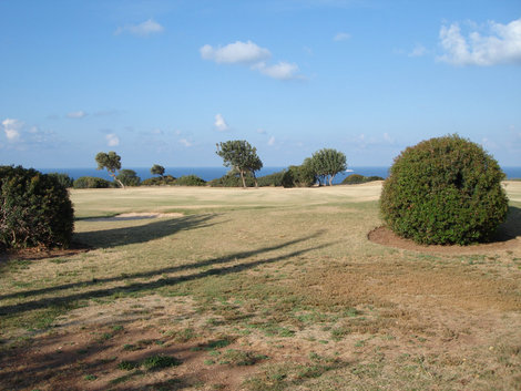 Поля для гольфа Пафос, Кипр