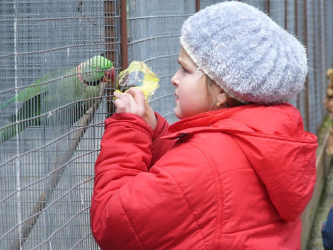 Птичий переполох: орнитопарк в Хосте Сочи, Россия