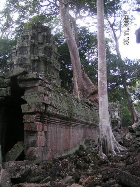 Что выросло, то выросло Ангкор (столица государства кхмеров), Камбоджа