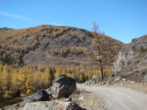 Вдоль реки Джазатор. На склоне — дорога на перевал Богомуиз Республика Алтай, Россия