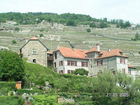 Дом словно крепость Кантон Во, Швейцария