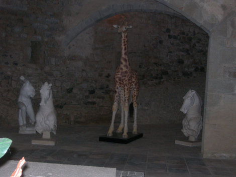 Интерьеры замка Пуболь, Испания