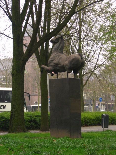Лошадь Утрехт, Нидерланды