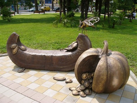 Тыква Сочи, Россия