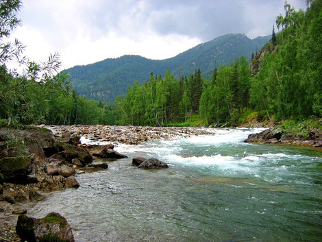 Привлекательная река Кумир Республика Алтай, Россия