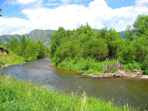 Привлекательная река Кумир Республика Алтай, Россия