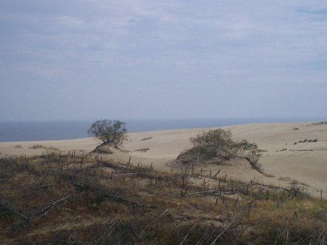 В краю дюн и воды Куршская Коса Национальный Парк, Россия