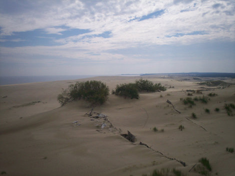 В краю дюн и воды Куршская Коса Национальный Парк, Россия