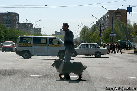 Пешеходный переход Минск, Беларусь
