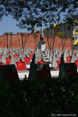 Мемориал погибшим буда-кошелевцам