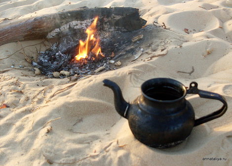 Оазис Сива. Чай по-берберски Египет