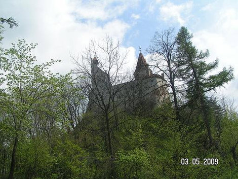 Замок через заросли Бран, Румыния