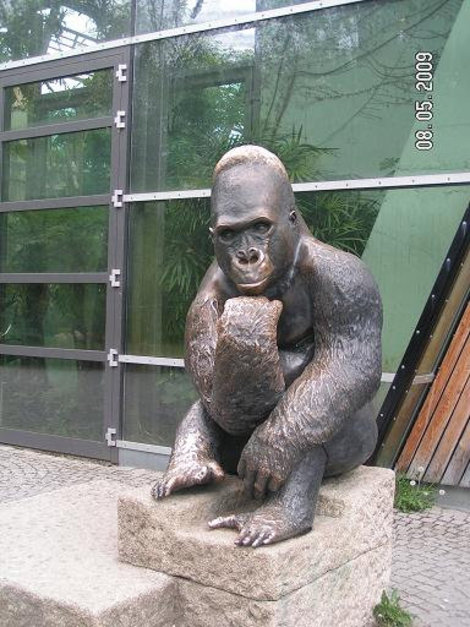 Памятник горилле Мюнхен, Германия