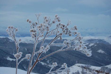Краса морозная. Перевал Кум-Баши. Домбай, Россия