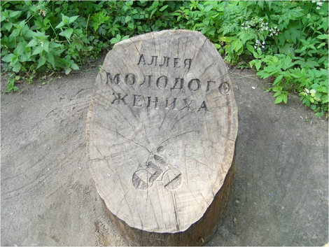 На таких пенечках написаны названия многочисленных аллей Павловск, Россия