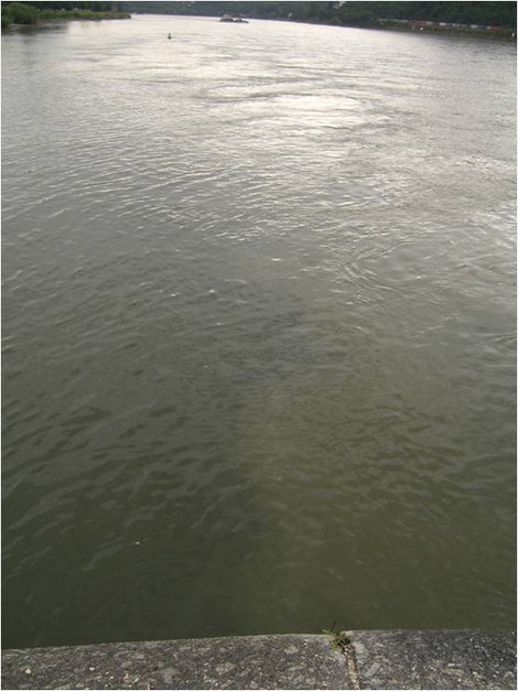 Вода разных цветов — вода двух рек: справа — Рейн, слева — Мозель Кобленц, Германия