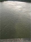 Вода разных цветов — вода двух рек: справа — Рейн, слева — Мозель