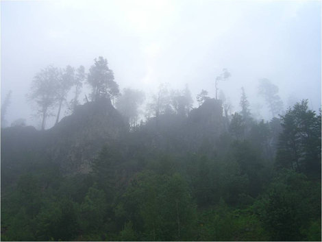 Деревья в тумане Адыгея, Россия