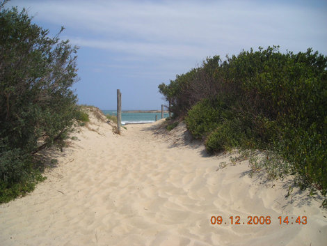Дорожка, ведущая к красивейшему пляжу Австралия