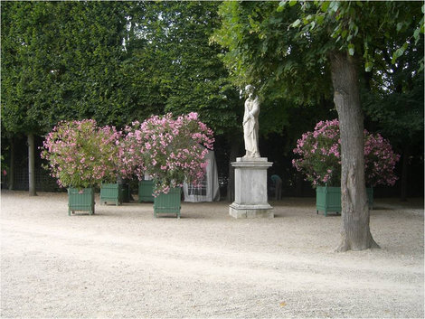 Клумбы Версаль, Франция