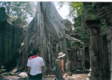 Фото 3 Ангкор (столица государства кхмеров), Камбоджа