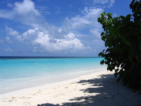 Рай на ста квадратных метрах (2) Мальдивские острова