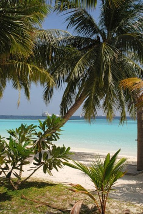 Мальдивы - игрушечные тропики Мальдивские острова