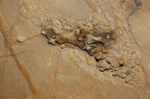 Маленькие сталактиты только начинают жизнь, а им уже более ста тысяч лет...