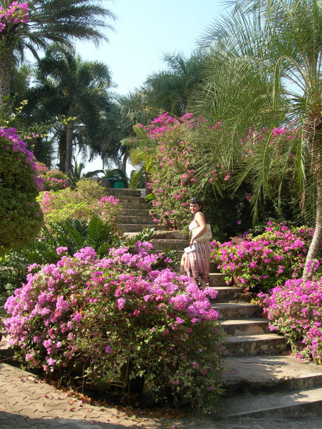Тропический сад Нонг Нуч Паттайя, Таиланд