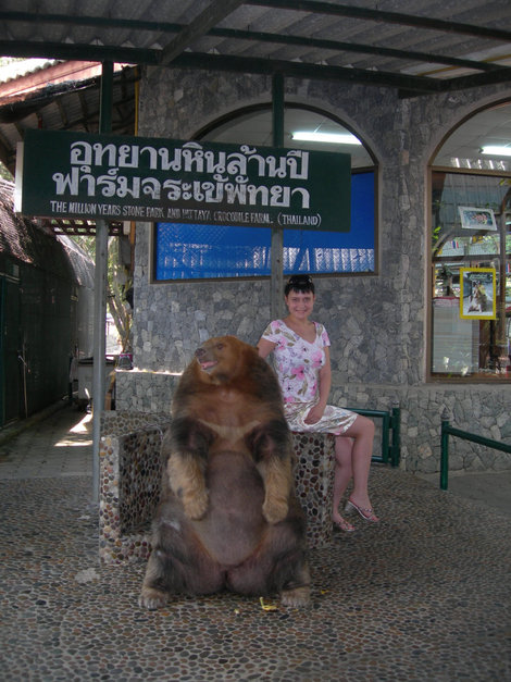 Забавные звери в Таиланде Таиланд